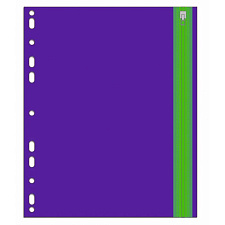 Папка на молнии ZIP с дополнительной перфорацией пластиковая, А4, 180 мкр, 33х25 см, одно отделение, ассорти