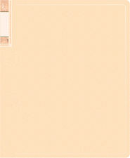 Папка пластиковая "Бюрократ Gems" 40 файлов с внешним карманом, цвет кремовый жемчуг