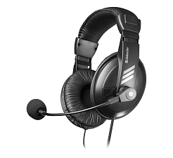 Наушники с микрофоном DEFENDER HN-750, накладные, регулировка громкости, наушники - 2 x 3.5 mm mini Jack, кабель 2 м, цвет черный