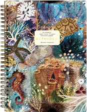 Тетрадь 60 листов А5+ в клетку на спирали BrunoVisconti "Фантазия. кораллы", обложка картон, матовая ламинация Soft Touch, фольга золото, блок: 70 г/кв.м, бежевая бумага, цвет кораллы