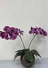 Композиция из орхидей Фаленопсинс  в керам.вазе 2 соцветия