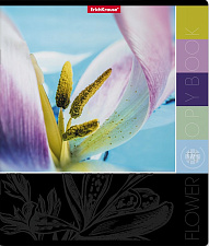 Тетрадь 96 клетка скоба ErichKrause "Цветовая палитра" обложка мелованный картон, 5 дизайнов