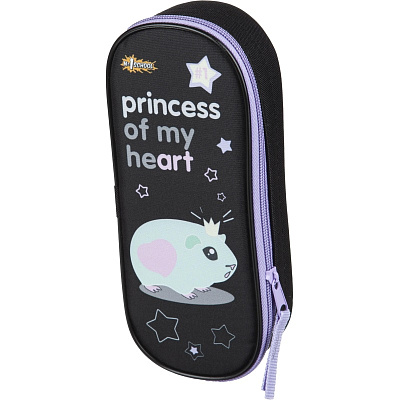 Пенал 1-отделение на молнии School Princess мягкий размер 22x5x9 см, полиэстер, без наполнения, черный