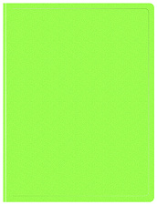 Папка 20 файлов "Бюрократ "Double Neon", цвет салатовый