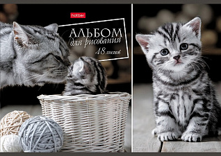 Альбом для рисования 48 листов на отрыв на скобе, обложка мелованный картон, плотность внутреннего блока 100гр/м2, Ассорти 5 дизайной