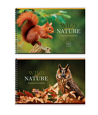 Альбом для рисования 40 листов на спирале, обложка мелованный картон, плотность внутреннего блока 100гр/м2,  BG Ассорти