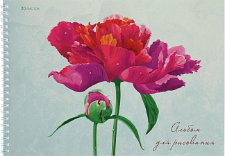 Альбом для рисования 30 листов на спирали, обложка мелованный картон, глянцевая ламинация, плотность внутреннего блока 140г/м2, 2 дизайна  "Цветы"
