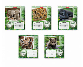Тетрадь 12 листов А5 в линейку с полями "Baby Jungle", обложка мелованный картон, Полиграфика ErichKrause, 5 дизайнов