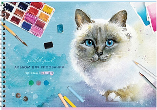 Альбом для рисования 24 листов на спирали, обложка мелованный картон, плотность внутреннего блока 100гр/м2, Ассорти 5 дизайнов