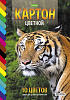 Цветной картон "Волшебный веер" формат А-4, 10 листов 10 цветов на заклепке, ассорти