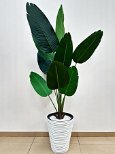 Декоративное растение "Длинный лист" в белом кашпо, высота 160см .