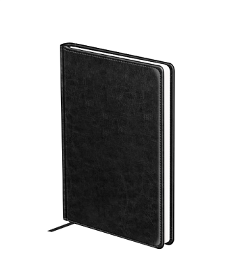 Ежедневник недатированный А5 BG "Nebraska. Black" 160л, искусственная кожа, размер 145х205мм, цвет черный								