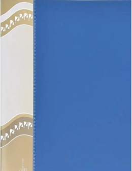 Папка пластик с пружинным механизмом "Persona AR72K" формат А4, ширина корешка 15мм, с бумажной вставкой, плотность 700 мкр, цвет синий