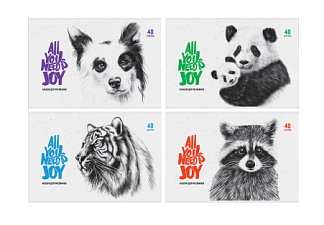 Альбом для рисования 40 листов на скобе, обложка офсет, плотность бумаги 100гр/м2, Ассорти