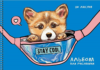 Альбом для рисования 20 листов на спирали, обложка мелованный картон, выборочно лак, блестки, плотность листов 110 г/м2, 2 дизайна, ассорти