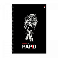 Тетрадь А4 96 листов в клетку на спирали Альт "RAPID" обложка мелованный картон, глянцевая ламинация, 3 дизайна