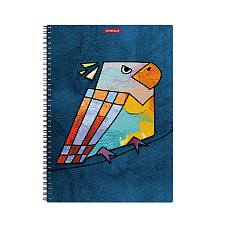 Тетрадь  80 листов ErichKrause в клетку на спирали "Birds", пластиковая матовая обложка с рисунком, 4 дизайна