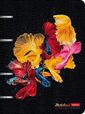 Тетрадь 80 листов А5 в клетку на кольцах Экспрессия, обложка слим-картон, металлизированный картон, выборочный лак, блок - офсет 60г.  