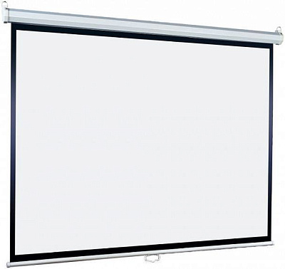Экран настенно-потолочный Lumien Eco Picture 203х203см LEP-100109 1:1, рулонный, белый 