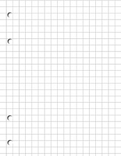 Сменный блок Апплика на кольцах 100 л. формат А4 белый в клетку