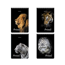 Блокнот формат А-5, 80листов BRAUBERG "Хищники", блок в клетку, на спирали, обложка мелованный картон, , жесткая подложка, плотность блока 60г/кв.м, цвет черный