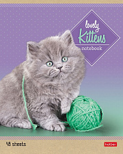 Тетрадь 48 листов А5 в линейку на скобе Хатбер"Котята", обложка мелованный картон,  с полями, ассорти 5 дизайна